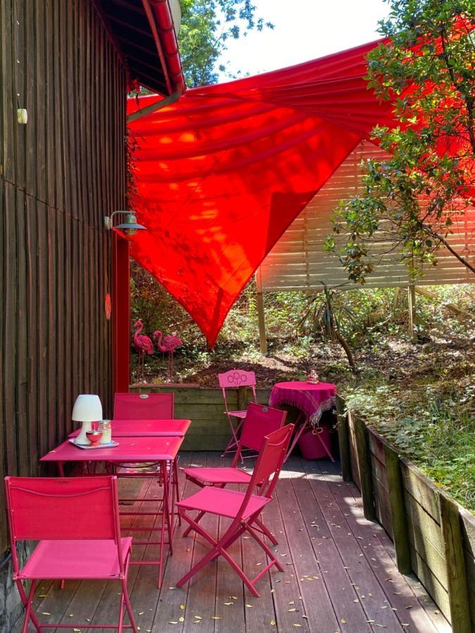 Le Loft Au-Dessus Des Pins Διαμέρισμα Lacanau Εξωτερικό φωτογραφία